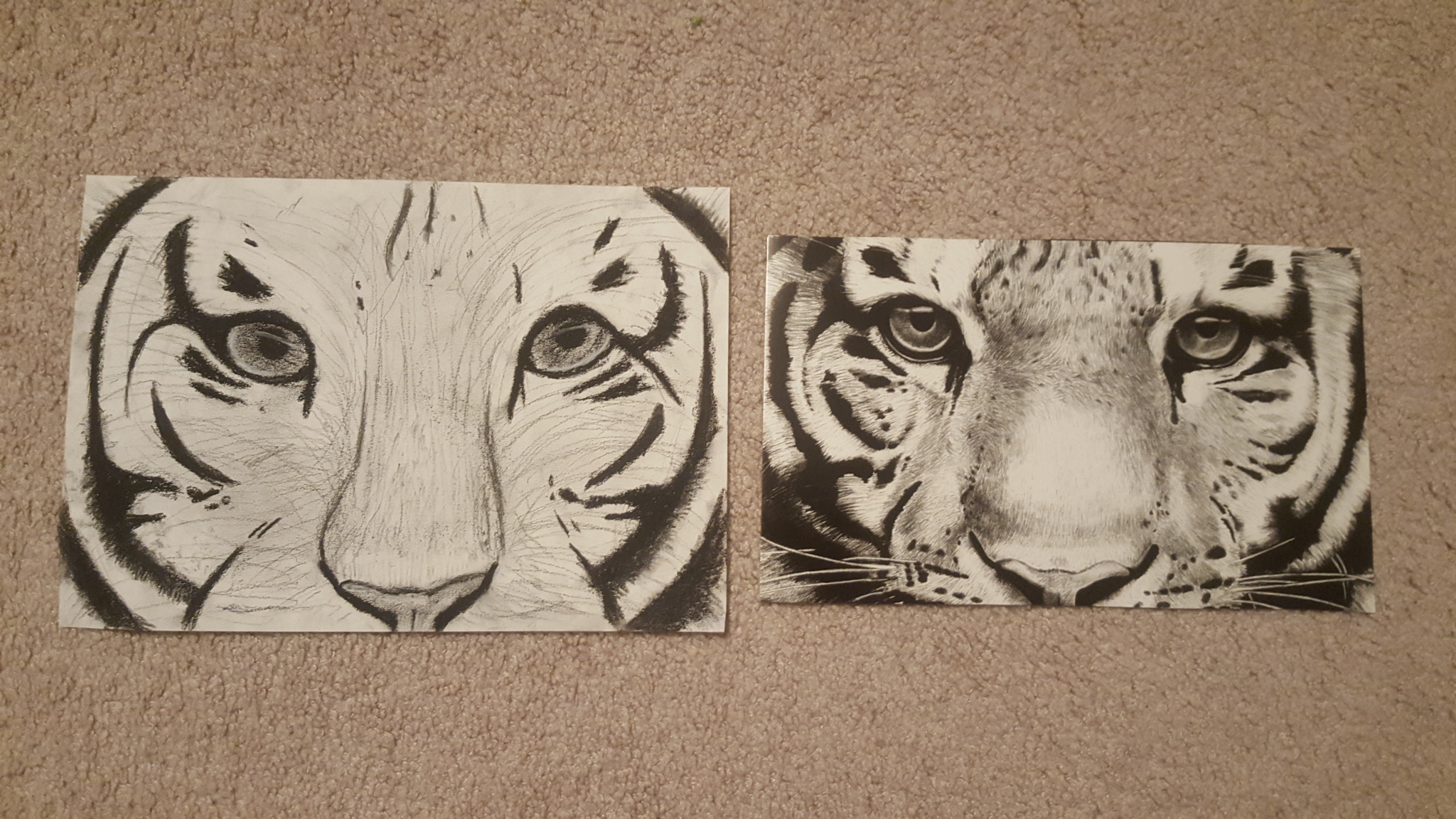 Image of Lydia's Project: Charcoal Tiger